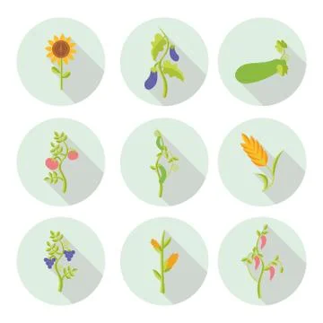 Crops flat icons Stock Illustration