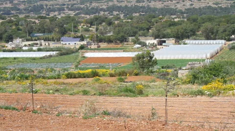 Crops Stock Footage 37324280