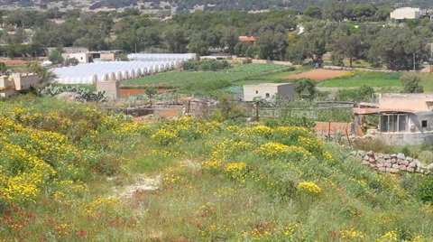 Crops Stock Footage 37333436