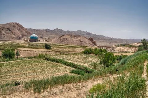 Crops in iran Stock Photos