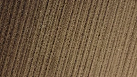 Crops in Italy Video stock 167732712