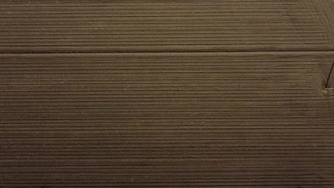 Crops in Italy 動画素材 167732728