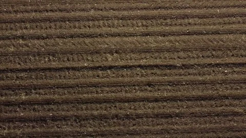 Crops in Italy 動画素材 167732788