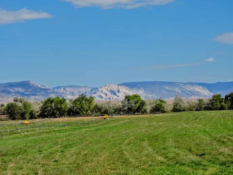 Crops in Spring Stock Photos