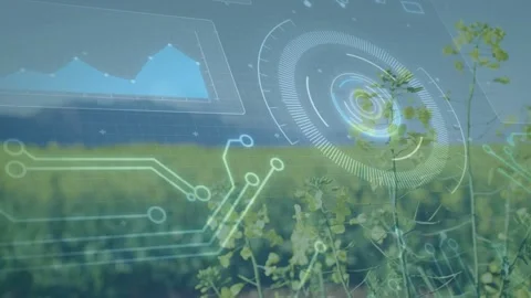 Crops staying focused while sensor data driving pulsing HUD, chart, traces over Video stock 332704257
