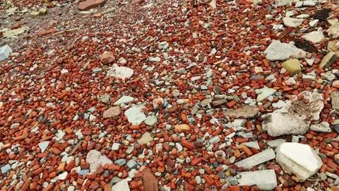 Crosby Blitz Beach close up Stock Footage 331817119