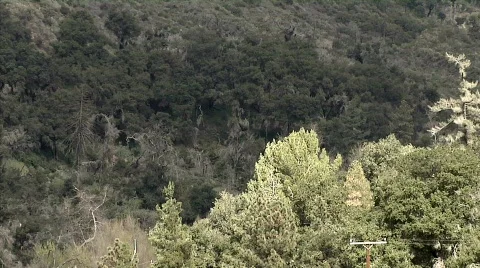 Cross 03 Stock Footage 330325