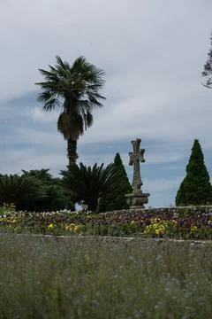 A cross and a palm tree with a view of the sky. Botanical Garden in Georgia Stock Photos
