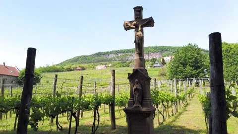 Cross at beautiful rows of young green vineyards in Badacsony at Lake Balaton Stock Footage 155068512