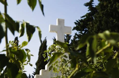 Cross between the trees Stock Photos