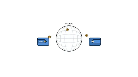 Cross Border Wallet Bridge Video stock 339140459