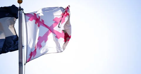 Cross of Burgundy Flag Stock Footage 284405216