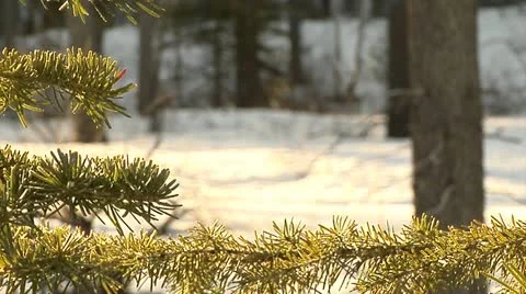 Cross country 2 Stock Footage 10884121