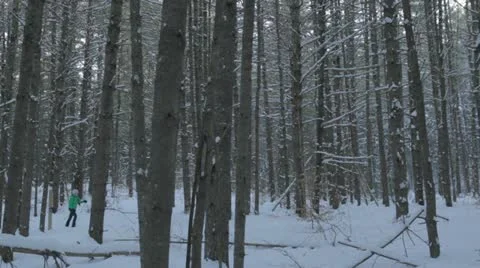 Cross-Country Ski through trees (Dolly Shot) Stock Footage