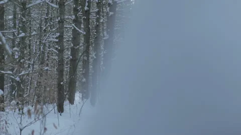 Cross-Country Ski toward camera (Dolly Shot Left to Right) Stock Footage
