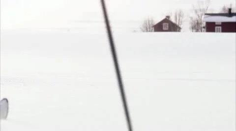 A cross country skier Stock Footage