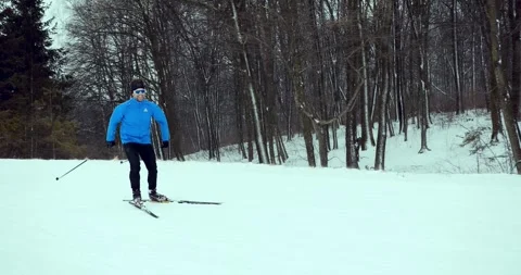 Cross country skier skiing in the winter forest Stock Footage 294681553