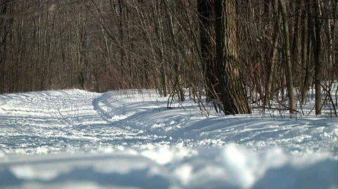 Cross country skiing 02 Stock Footage 36619662