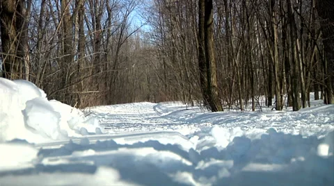 Cross country skiing 03 Stock Footage 36619911