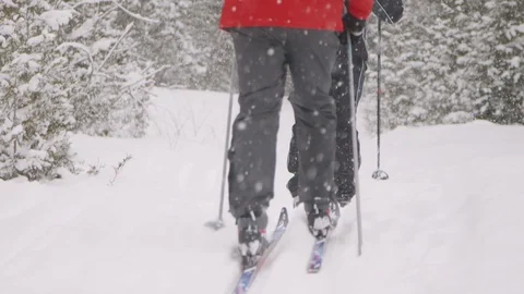 Cross-Country Skiing  Vídeo Stock 88703541