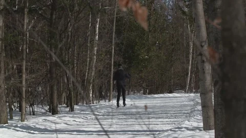 Cross country skiing 库存影片 230918019