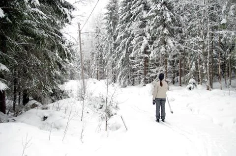 Cross country skiing Stock Photos