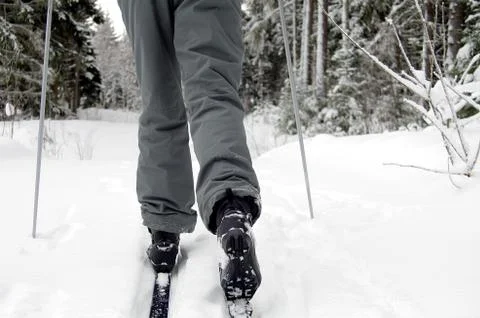 Cross country skiing Stock Photos