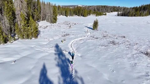 Cross Country Skiing | Two People 01 | Steamboat Colorado | Rabbit Ears Pass Stock Footage 295898341