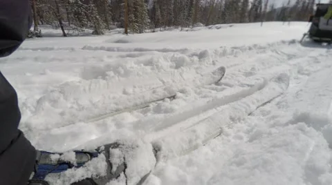 Cross country through a forest pulling a trailer Stock Footage 47776561
