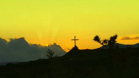 Cross 動画素材 584940