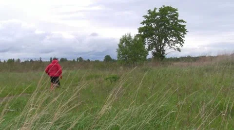 Cross Video stock 11135640