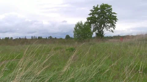 Cross 스톡 동영상 11135787