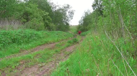 Cross 스톡 동영상 11359186