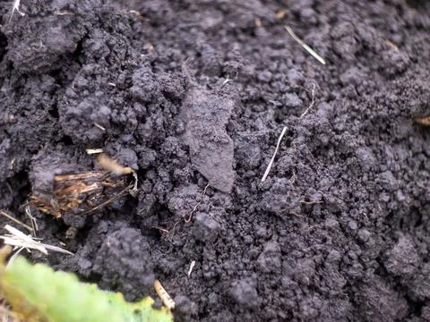 Cross found in the ground Stock Photos