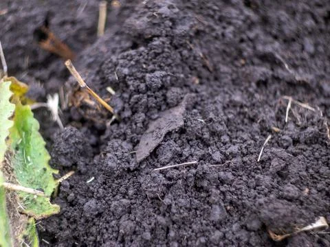 Cross found in the ground Stock Photos