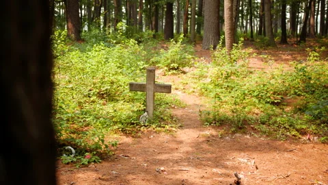 Cross Grave Marker in Forest Video stock 157880800