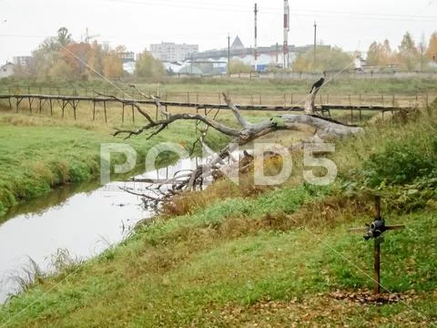 Cross grave stalker in the exclusion zone. Stock Photos