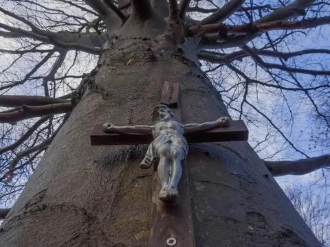 Cross with jesus on a large old tree in the forest middle Stock Photos