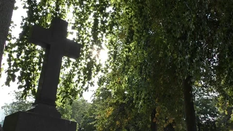 Cross at Malmö old cemetery Stock Footage 285205584