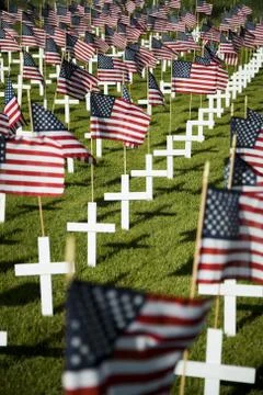 Cross markers with US flags Foto stock