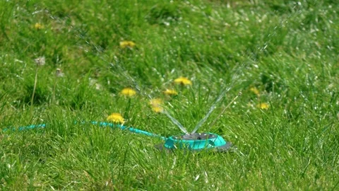 Cross pattern water jets spreading from ground sprinkler across lush green lawn Stock Footage 338389320
