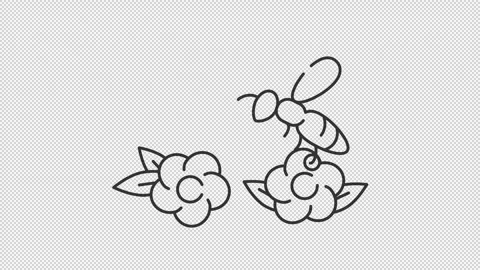 Cross pollination line animation Stock Footage 288292553