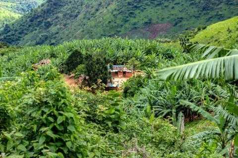 Cross River Mountains Stock Photos