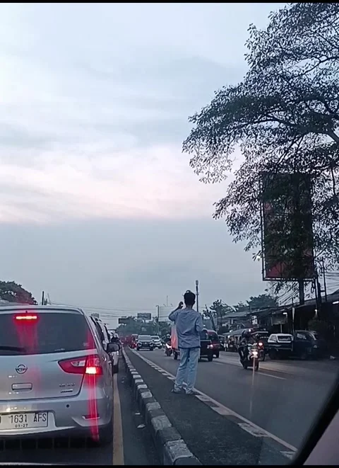 Cross the road Stock Footage 219668108