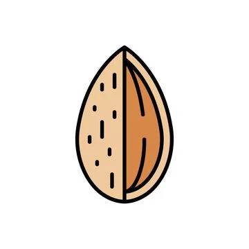 Cross-Section Almond Icon Vector Illustration Stock Illustration