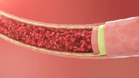 Cross section artery view. Red blood cells inside an artery, vein. Healthy blood Stock Illustration