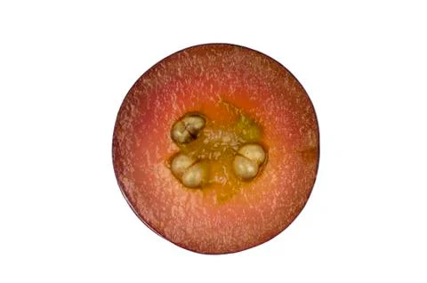 Cross section of blue grape isolated in white Stock Photos