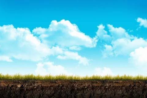 Cross section brown soil and green grass Stock Illustration