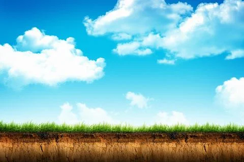 Cross section brown soil and green grass Stock Illustration