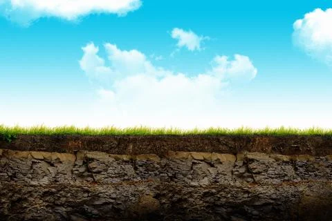 Cross section brown soil and green grass Stock Illustration